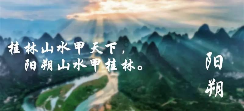 述职评议“交成绩”，深耕党建“责任田”！